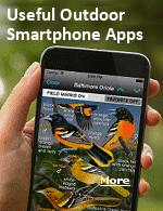 Here are some pay-for-play and free outdoor apps you�ll want on your phone for your next foray outside.